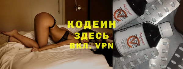 гидра Нея