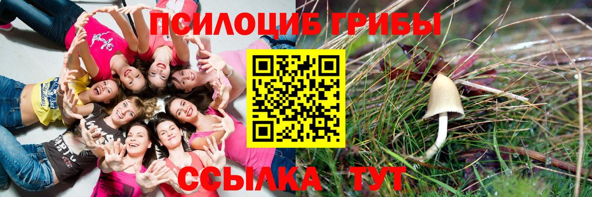 Псилоцибиновые грибы GOLDEN TEACHER  Псилоцибиновые грибы мухоморы  Ржев  Вход с VPN 