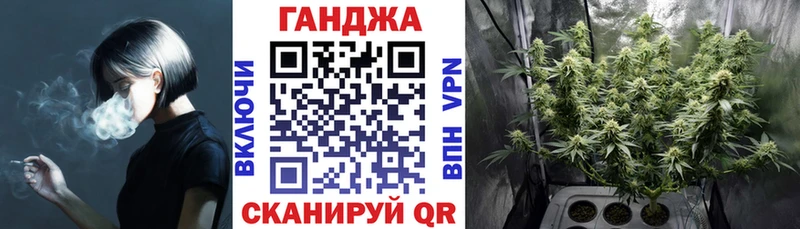 Каннабис гибрид  Ржев 