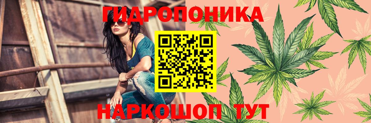 Шишки марихуана MAZAR Ржев